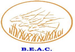 BEAC